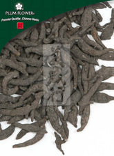 梁头建,未硫化的 Anemone raddeana 根茎